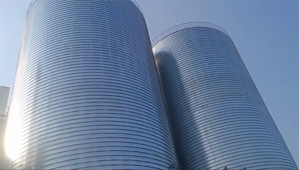 零陵2座混凝土高架卷板仓